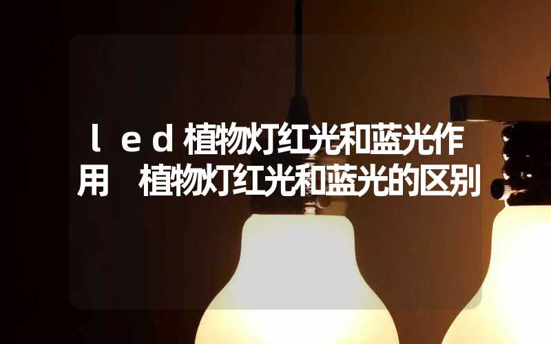 led植物灯红光和蓝光作用 植物灯红光和蓝光的区别